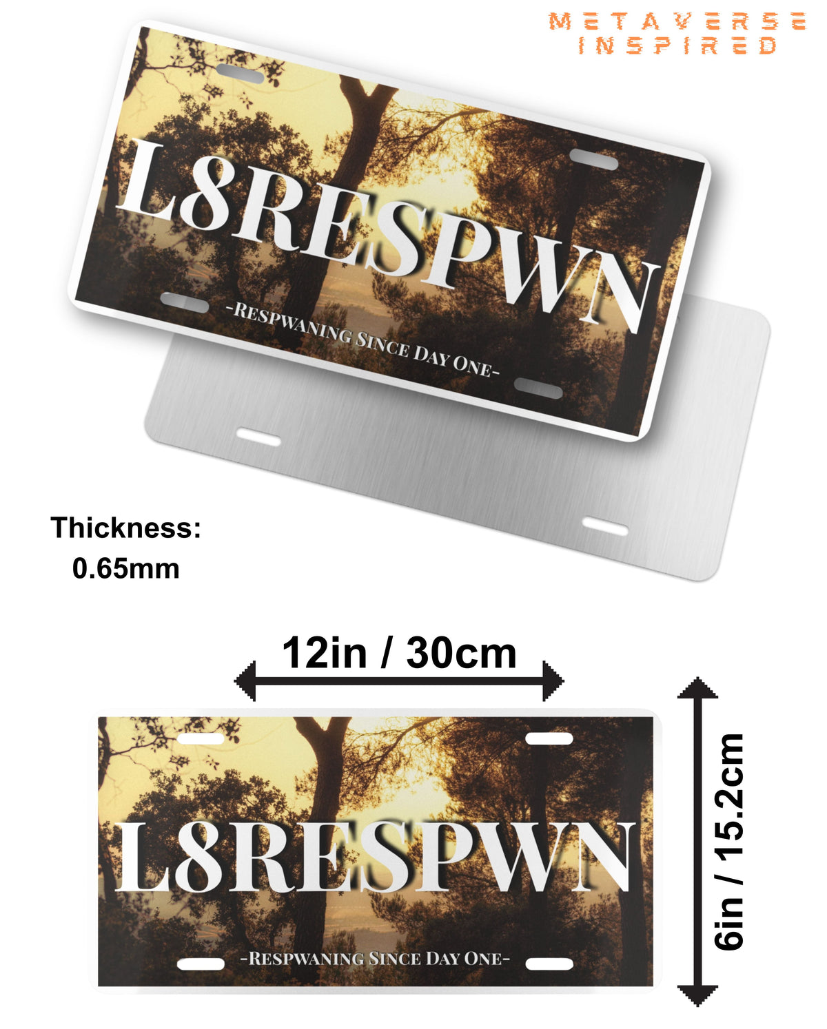 Size chart for L8RESPWN | Vanity License Plate